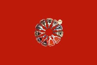 自贡市贡井区回收红酒